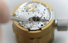 劳力士原装表带